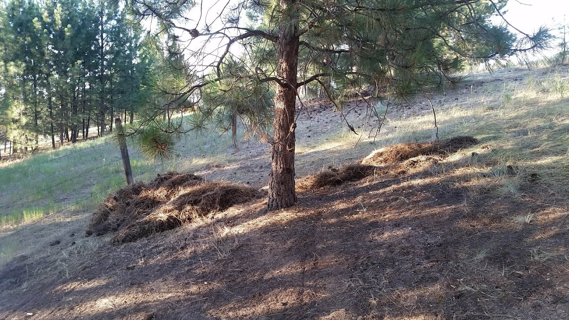 Timber Rake - Landscape Rake Attachment for ATV, UTV, and Tractor